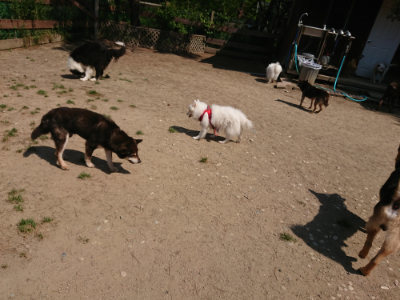 f:id:roukenhome-ann:20190515085900j:plain