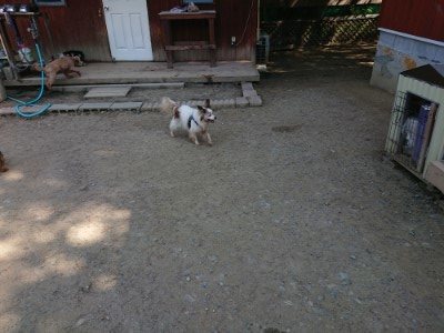 f:id:roukenhome-ann:20190515085917j:plain