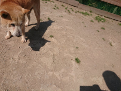 f:id:roukenhome-ann:20190515090036j:plain