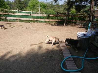 f:id:roukenhome-ann:20190515090040j:plain
