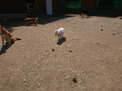 f:id:roukenhome-ann:20190515090108j:plain