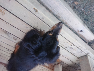 f:id:roukenhome-ann:20190515090118j:plain