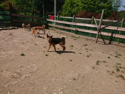 f:id:roukenhome-ann:20190515101505j:plain