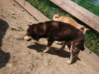 f:id:roukenhome-ann:20190515101609j:plain