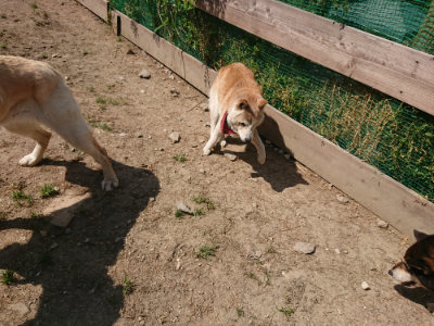 f:id:roukenhome-ann:20190515101701j:plain