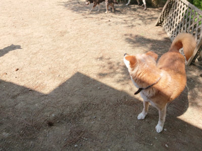 f:id:roukenhome-ann:20190515101741j:plain
