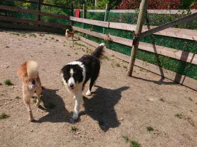 f:id:roukenhome-ann:20190515101747j:plain