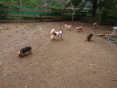 f:id:roukenhome-ann:20190516125312j:plain f:id:roukenhome-ann:20190516125312j:plain