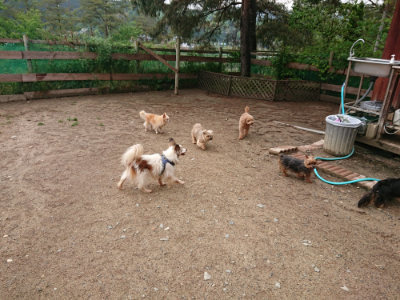 f:id:roukenhome-ann:20190516125317j:plain f:id:roukenhome-ann:20190516125317j:plain