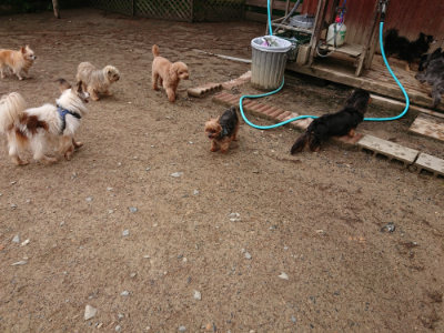 f:id:roukenhome-ann:20190516125322j:plain f:id:roukenhome-ann:20190516125322j:plain