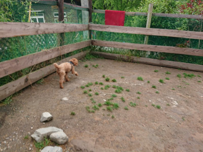 f:id:roukenhome-ann:20190516125327j:plain f:id:roukenhome-ann:20190516125327j:plain