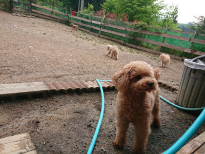f:id:roukenhome-ann:20190516125340j:plain f:id:roukenhome-ann:20190516125340j:plain