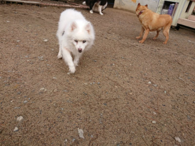 f:id:roukenhome-ann:20190516125344j:plain f:id:roukenhome-ann:20190516125344j:plain
