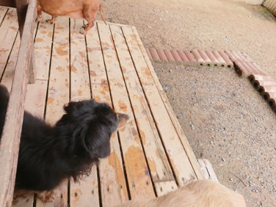 f:id:roukenhome-ann:20190516125405j:plain f:id:roukenhome-ann:20190516125405j:plain