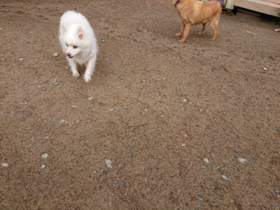 f:id:roukenhome-ann:20190516125410j:plain f:id:roukenhome-ann:20190516125410j:plain