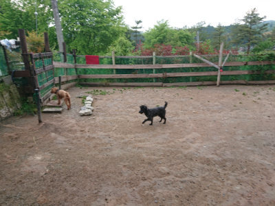 f:id:roukenhome-ann:20190516125414j:plain f:id:roukenhome-ann:20190516125414j:plain
