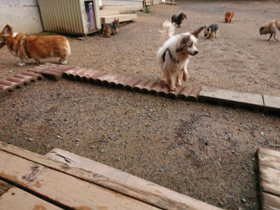 f:id:roukenhome-ann:20190516125419j:plain f:id:roukenhome-ann:20190516125419j:plain