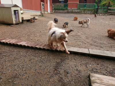 f:id:roukenhome-ann:20190516125425j:plain f:id:roukenhome-ann:20190516125425j:plain