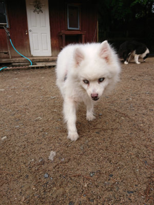 f:id:roukenhome-ann:20190516125438j:plain f:id:roukenhome-ann:20190516125438j:plain