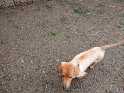 f:id:roukenhome-ann:20190516125504j:plain f:id:roukenhome-ann:20190516125504j:plain