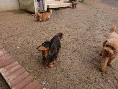 f:id:roukenhome-ann:20190516125510j:plain f:id:roukenhome-ann:20190516125510j:plain