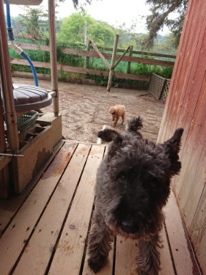 f:id:roukenhome-ann:20190516125551j:plain f:id:roukenhome-ann:20190516125551j:plain