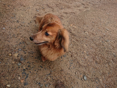 f:id:roukenhome-ann:20190516125709j:plain f:id:roukenhome-ann:20190516125709j:plain