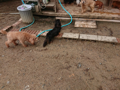 f:id:roukenhome-ann:20190516125714j:plain f:id:roukenhome-ann:20190516125714j:plain