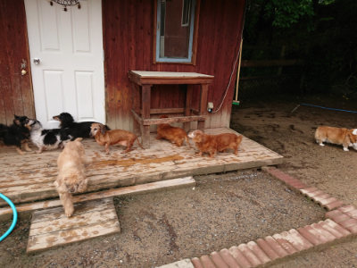 f:id:roukenhome-ann:20190516125719j:plain f:id:roukenhome-ann:20190516125719j:plain