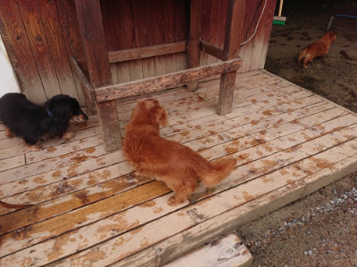 f:id:roukenhome-ann:20190516125724j:plain f:id:roukenhome-ann:20190516125724j:plain