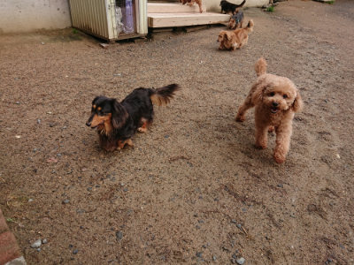 f:id:roukenhome-ann:20190516125740j:plain f:id:roukenhome-ann:20190516125740j:plain