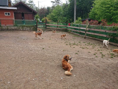 f:id:roukenhome-ann:20190516125750j:plain f:id:roukenhome-ann:20190516125750j:plain