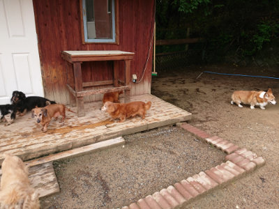 f:id:roukenhome-ann:20190516125806j:plain f:id:roukenhome-ann:20190516125806j:plain