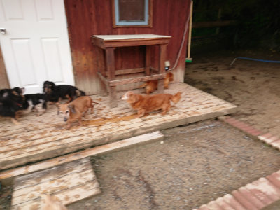 f:id:roukenhome-ann:20190516125812j:plain f:id:roukenhome-ann:20190516125812j:plain