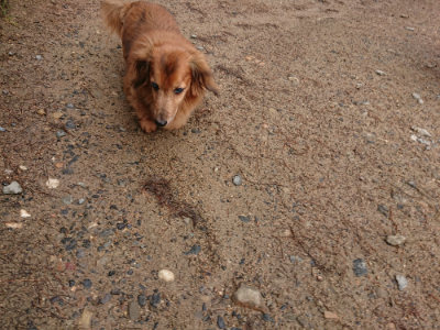 f:id:roukenhome-ann:20190516125823j:plain f:id:roukenhome-ann:20190516125823j:plain