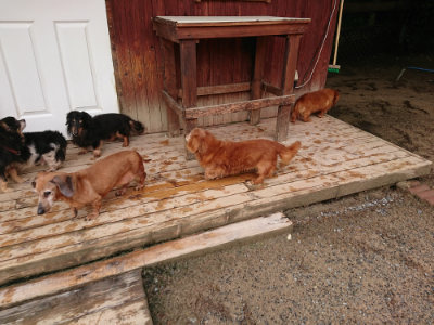 f:id:roukenhome-ann:20190516125833j:plain f:id:roukenhome-ann:20190516125833j:plain