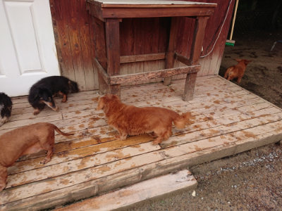 f:id:roukenhome-ann:20190516125837j:plain f:id:roukenhome-ann:20190516125837j:plain