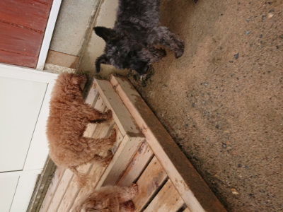 f:id:roukenhome-ann:20190516125842j:plain f:id:roukenhome-ann:20190516125842j:plain