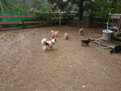 f:id:roukenhome-ann:20190516125900j:plain f:id:roukenhome-ann:20190516125900j:plain