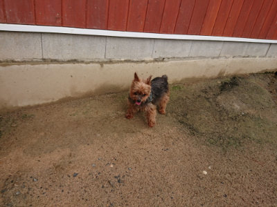 f:id:roukenhome-ann:20190516141736j:plain f:id:roukenhome-ann:20190516141736j:plain