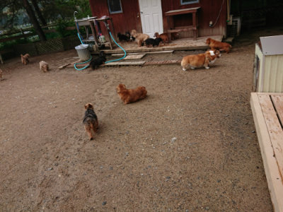 f:id:roukenhome-ann:20190516141746j:plain f:id:roukenhome-ann:20190516141746j:plain