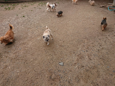 f:id:roukenhome-ann:20190516141751j:plain f:id:roukenhome-ann:20190516141751j:plain