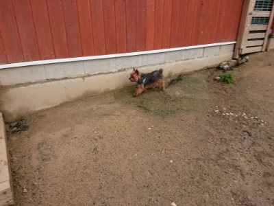 f:id:roukenhome-ann:20190516141757j:plain f:id:roukenhome-ann:20190516141757j:plain