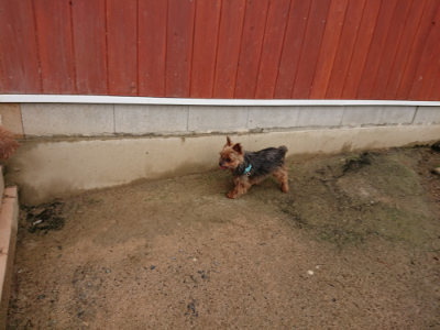 f:id:roukenhome-ann:20190516141804j:plain f:id:roukenhome-ann:20190516141804j:plain