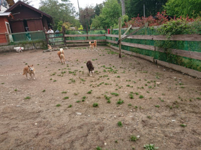 f:id:roukenhome-ann:20190516141834j:plain f:id:roukenhome-ann:20190516141834j:plain