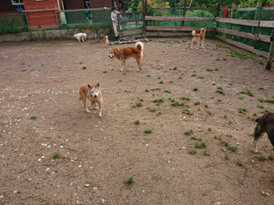 f:id:roukenhome-ann:20190516141840j:plain f:id:roukenhome-ann:20190516141840j:plain