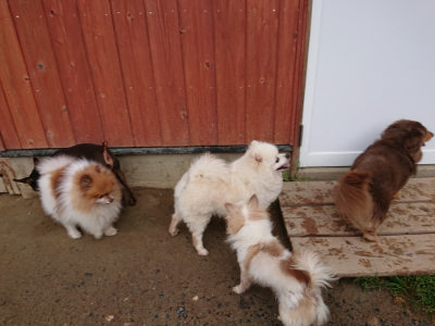 f:id:roukenhome-ann:20190516141847j:plain f:id:roukenhome-ann:20190516141847j:plain