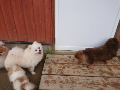 f:id:roukenhome-ann:20190516141947j:plain f:id:roukenhome-ann:20190516141947j:plain