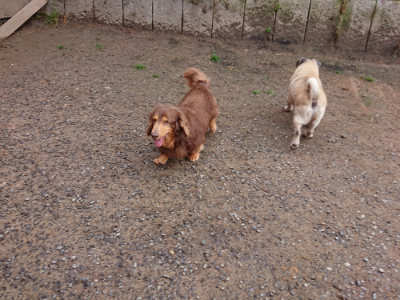 f:id:roukenhome-ann:20190516142015j:plain f:id:roukenhome-ann:20190516142015j:plain
