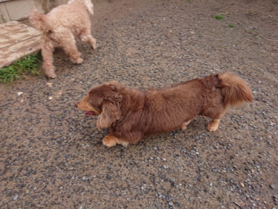 f:id:roukenhome-ann:20190516142021j:plain f:id:roukenhome-ann:20190516142021j:plain